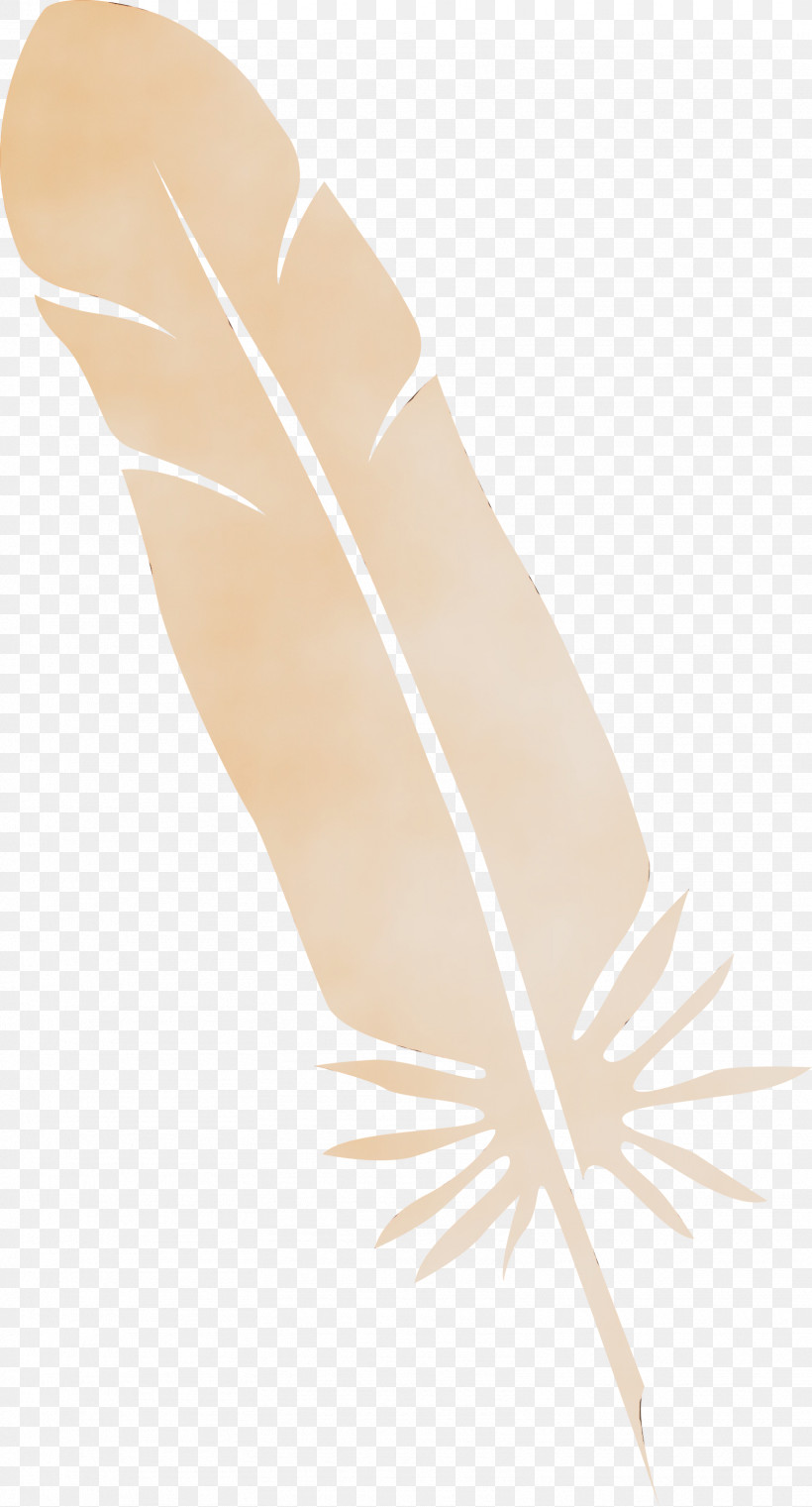 Feather, PNG, 1617x3000px, Feather, Paint, Watercolor, Wet Ink Download Free