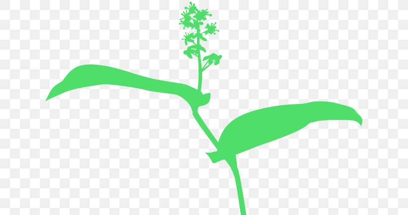 Green Leaf Plant Plant Stem Flower, PNG, 640x434px, Green, Flower, Leaf, Logo, Plant Download Free