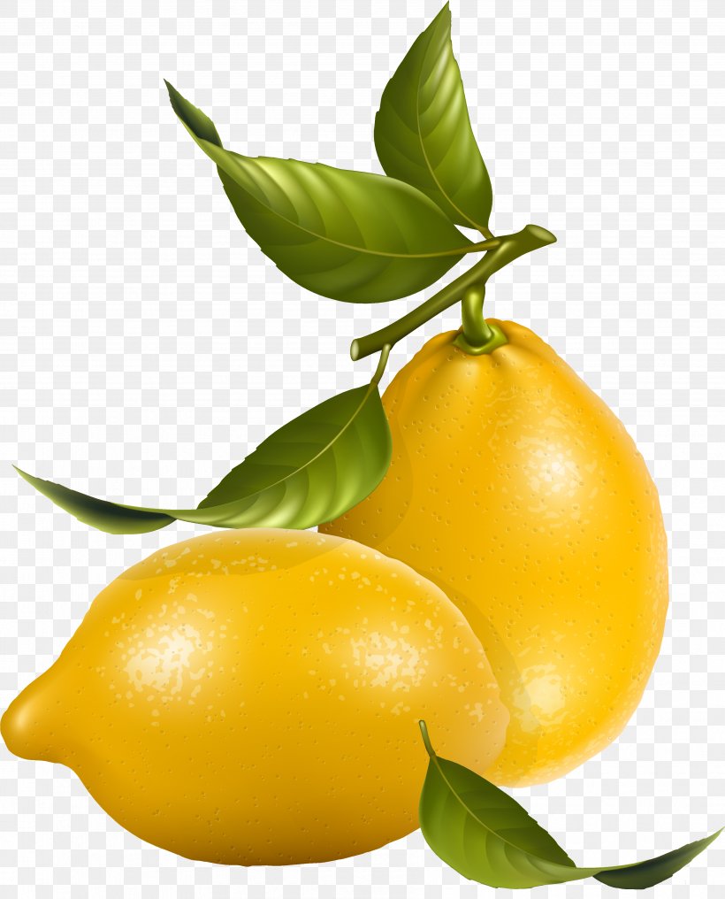 Lemon Tree, PNG, 3578x4435px, Juice, Citrus, Flower, Food, Fruit Download Free