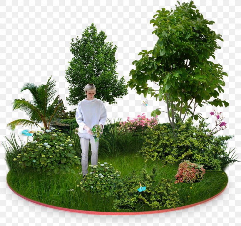 Garden Furniture Tree Flower Garden, PNG, 1000x938px, Garden, Back Garden, Branch, Evergreen, Flower Garden Download Free