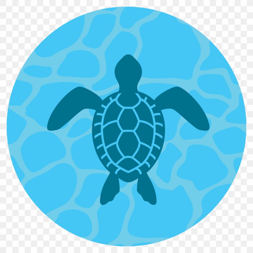 Green Sea Turtle Hawksbill Sea Turtle, PNG, 1024x1024px, Sea Turtle, Aqua, Earth, Green Sea Turtle, Hawksbill Sea Turtle Download Free