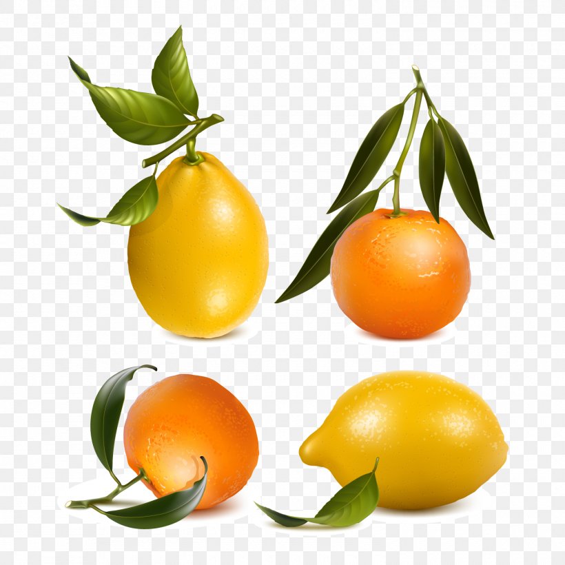 Juice Mandarin Orange Tangerine Lemon, PNG, 1500x1500px, Juice, Bitter Orange, Calamondin, Citrus, Clementine Download Free