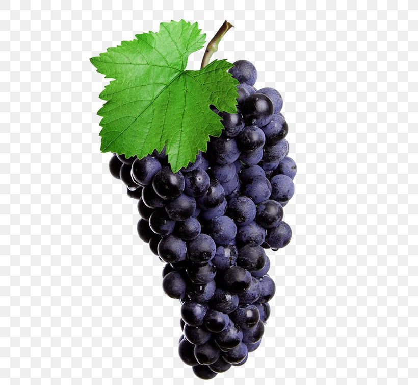 Red Wine Common Grape Vine Isabella Juice Rosxe9, PNG, 550x754px, Red Wine, Common Grape Vine, Food, Fruit, Grape Download Free