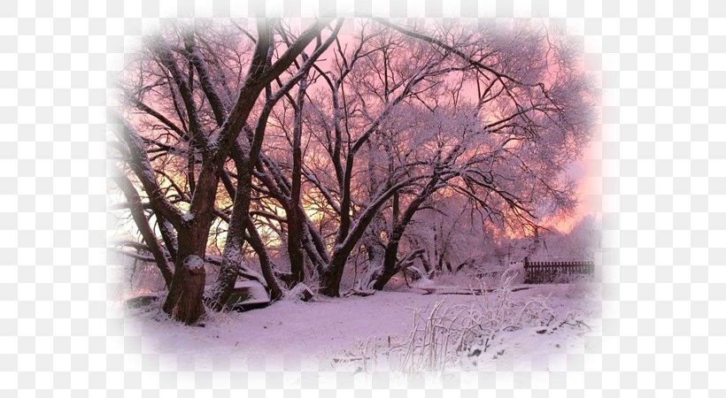 Winter Snow Landscape Tree Mobile Phones, PNG, 600x450px, Winter, Blizzard, Branch, Dawn, Freezing Download Free