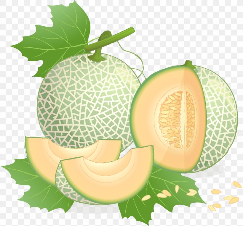 Cantaloupe Honeydew Galia Melon, PNG, 1642x1531px, Cantaloupe, Cucumber Gourd And Melon Family, Cucumis, Diet Food, Food Download Free