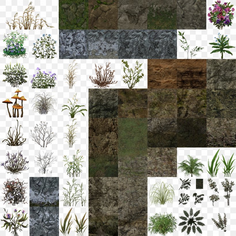 Flower Tree Shrub, PNG, 1600x1600px, Flower, Evergreen, Flora, Grass, Plant Download Free