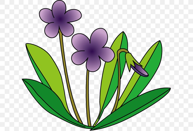 Viola Mandshurica Violet Royalty-free Clip Art, PNG, 636x558px, Viola Mandshurica, African Violets, Artwork, Flora, Flower Download Free