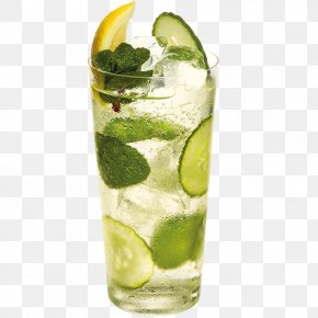 Mojito - Cocktail Garnish Gin And Tonic Mojito Rickey PNG