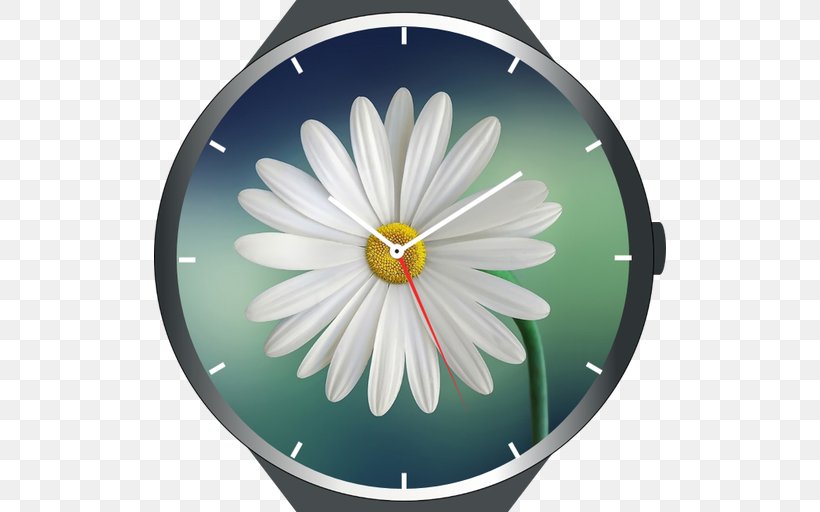 Flower Desktop Wallpaper Mindfulness Part 2 | The Practice Floristry Common Daisy, PNG, 512x512px, Flower, Common Daisy, Daisy, Daisy Family, Flora Download Free