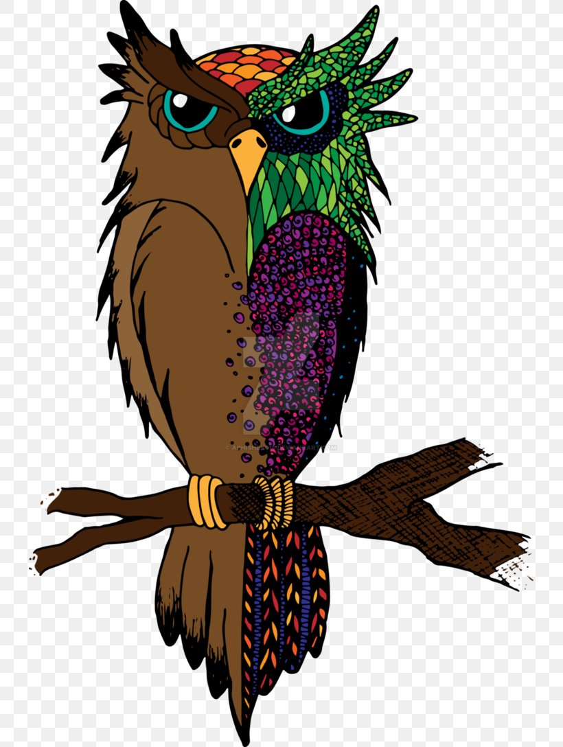 Owl Beak Feather, PNG, 735x1088px, Owl, Art, Beak, Bird, Bird Of Prey Download Free