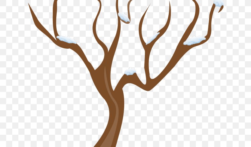 Clip Art Tree Leaf Branch, PNG, 640x480px, Tree, Branch, Drawing, Leaf, Oak Download Free