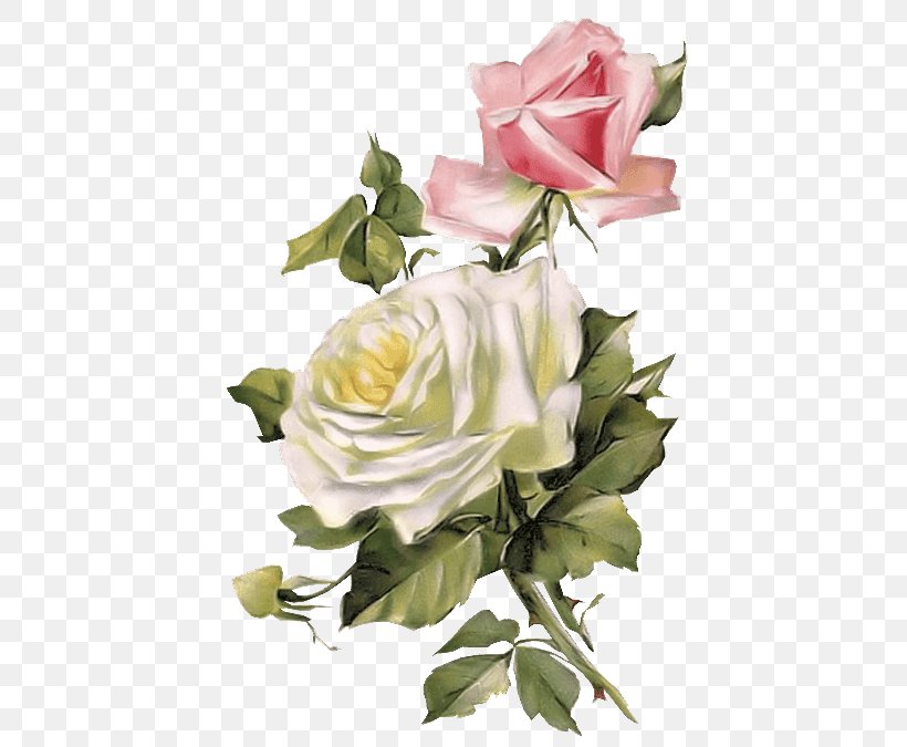 Rose Vintage Clothing Flower, PNG, 438x675px, Rose, Antique, Christie Repasy, Clothing, Cut Flowers Download Free