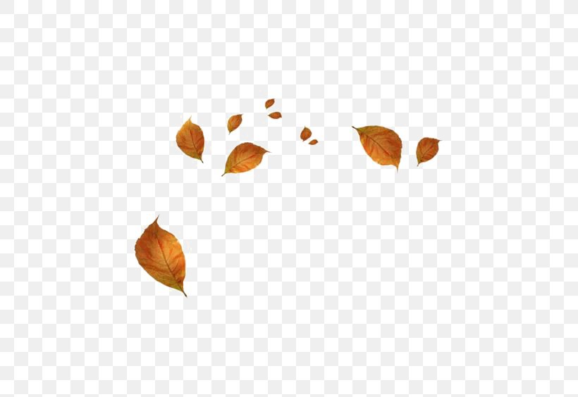 Autumn Leaf, PNG, 564x564px, Leaf, Autumn, Autumn Leaf Color, Heart, Maple Leaf Download Free