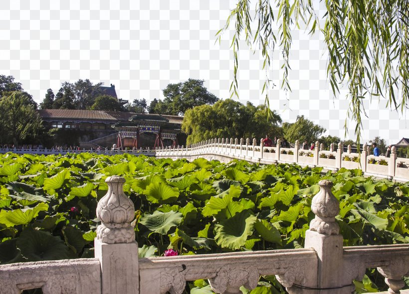 Beihai Park Forbidden City Odori Park U6e90u8fdcu6d41u957f Building, PNG, 1024x738px, Beihai Park, Architecture, Beijing, Building, Chinese Garden Download Free