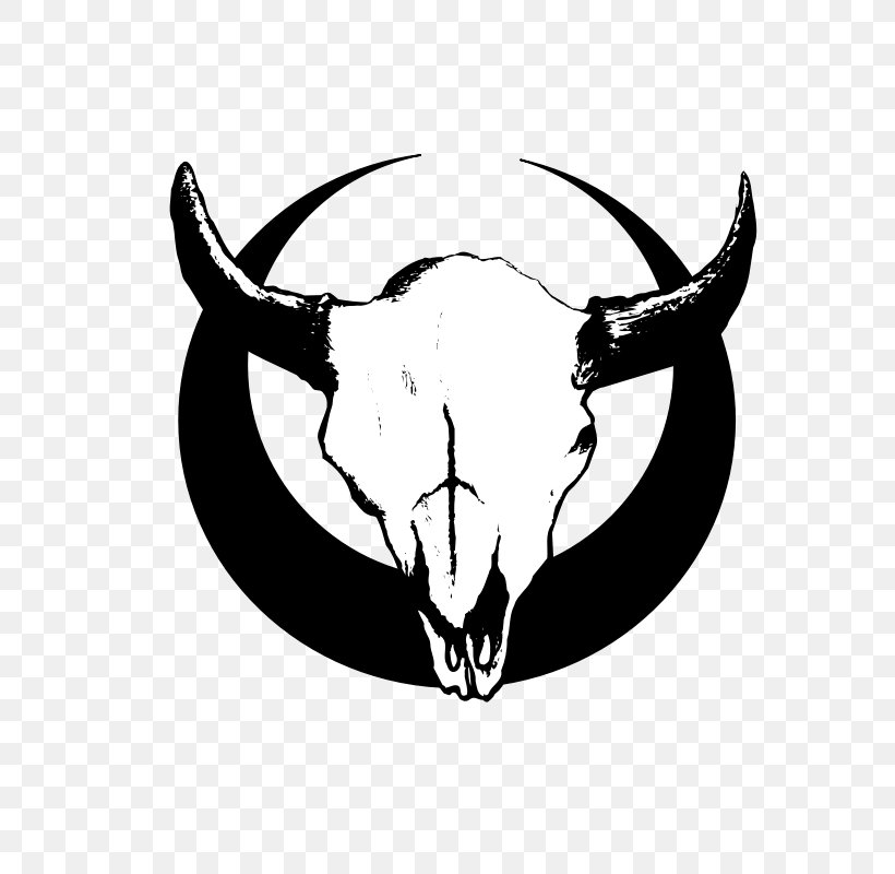 Cattle Bull Clip Art, PNG, 800x800px, Cattle, Black, Black And White, Bone, Bull Download Free