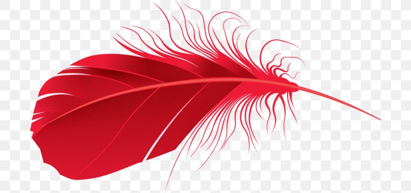 Feather Clip Art, PNG, 700x385px, Feather, Bird, Close Up, Magenta, Petal Download Free