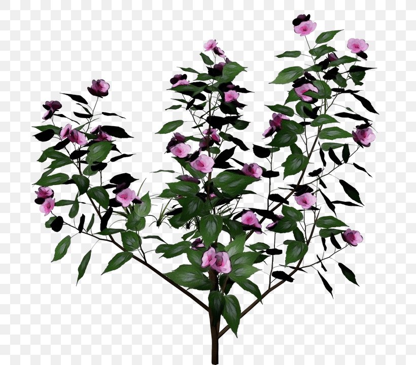 Flower Flowering Plant Plant Pink Bougainvillea, PNG, 738x720px, Watercolor, Bougainvillea, Branch, Buddleia, Cut Flowers Download Free