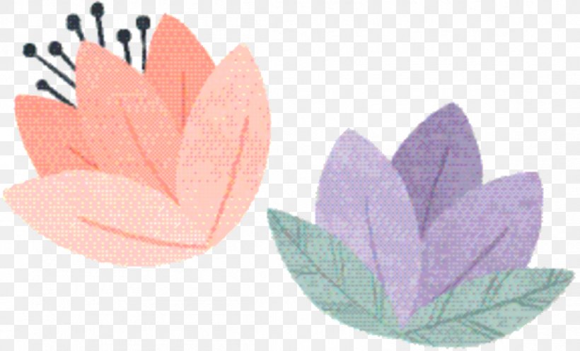 Pink Flower Cartoon, PNG, 1151x698px, Petal, Botany, Flower, Herbaceous Plant, Leaf Download Free