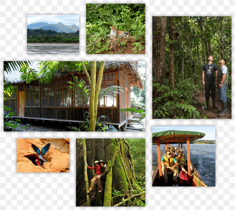 Beni Department Madidi Jungle Ecolodge National Park Protected Area, PNG, 1006x902px, Beni Department, Bolivia, Bus, Collage, Eco Hotel Download Free