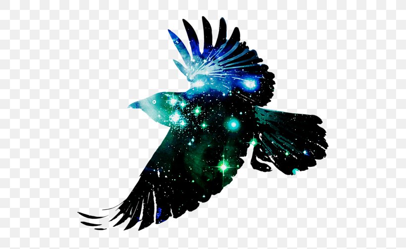Bird Common Raven Desktop Wallpaper Crow Flight, PNG, 600x503px, 4k  Resolution, Bird, Animal, Beak, Common Raven