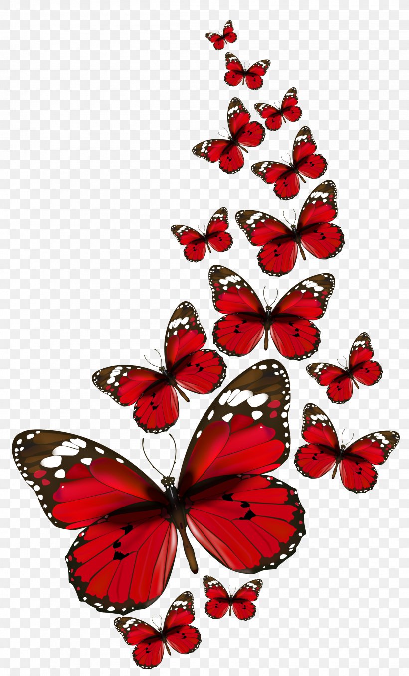 Butterfly Papillon Dog Red Clip Art, PNG, 2496x4129px, Butterfly, Arthropod, Brush Footed Butterfly, Butterflies And Moths, Color Download Free