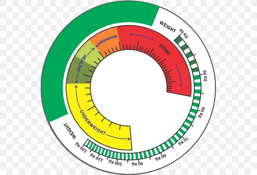 Circle Statistics .com Logo, PNG, 560x560px, Statistics, Area, Brand, Com, Data Download Free