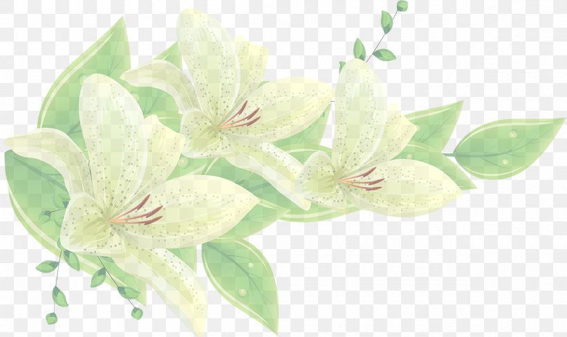 Flower White Green Plant Flowering Plant, PNG, 1200x714px, Flower, Cut Flowers, Flowering Plant, Green, Lily Download Free