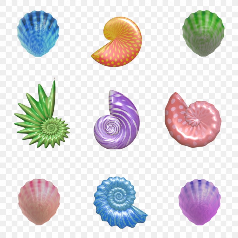 Seashell Nautilidae Gastropod Shell, PNG, 1024x1024px, Seashell, Beach, Fossil, Gastropod Shell, Nautilidae Download Free