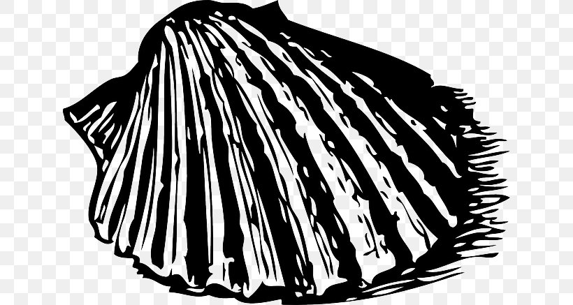 Seashell Scallop Clip Art, PNG, 640x437px, Seashell, Black, Black And White, Conch, Drawing Download Free