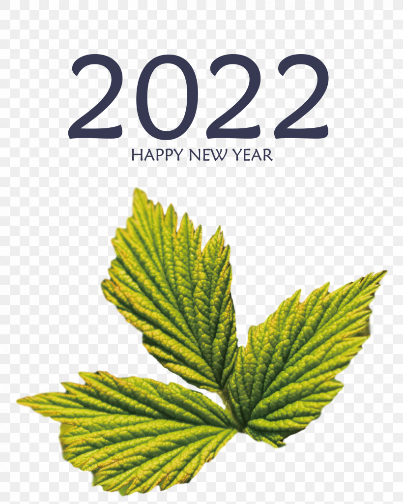 2022 Happy New Year 2022 New Year 2022, PNG, 2400x3000px, Leaf, Biology, Hemp, Herbal Medicine, Meter Download Free