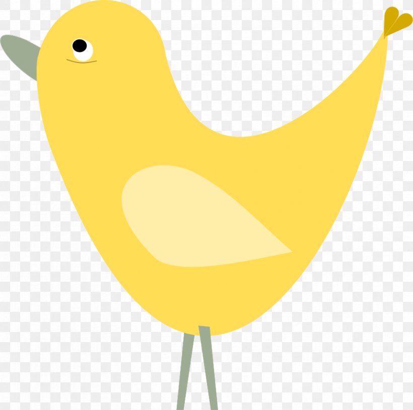 Beak Bird Duck Chicken Goose, PNG, 858x853px, Bird, Anatidae, Animal, Beak, Cartoon Download Free