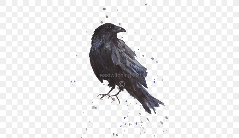 Common Raven Bird Art Printmaking, PNG, 564x475px, Common Raven, American Crow, Art, Beak, Bird Download Free