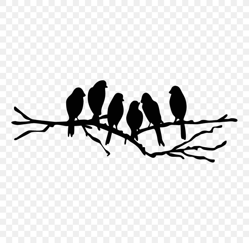 Lovebird Wall Decal Branch Stencil, PNG, 800x800px, Bird, Art, Beak, Bird Of Prey, Black And White Download Free