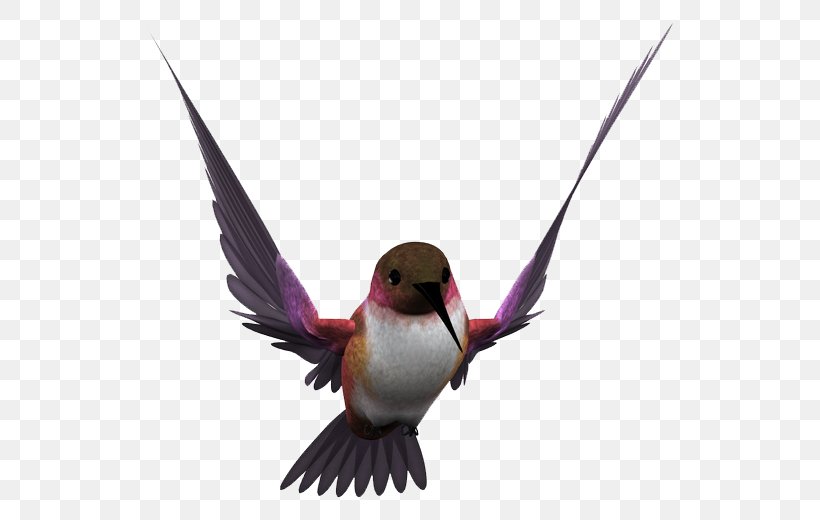 Bird Gongbi Illustration Flight Image, PNG, 557x520px, Bird, Beak, Feather, Flight, Gongbi Download Free