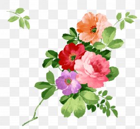 Watercolor Flower - Watercolour Flowers Watercolor Painting PNG