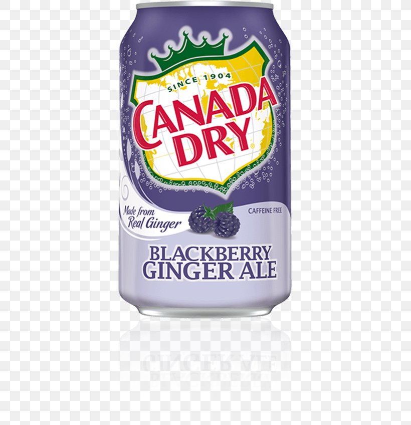 Ginger Ale Fizzy Drinks Lemonade Carbonated Water Ginger Beer, PNG, 347x848px, Ginger Ale, Beverage Can, Brand, Canada Dry, Carbonated Water Download Free