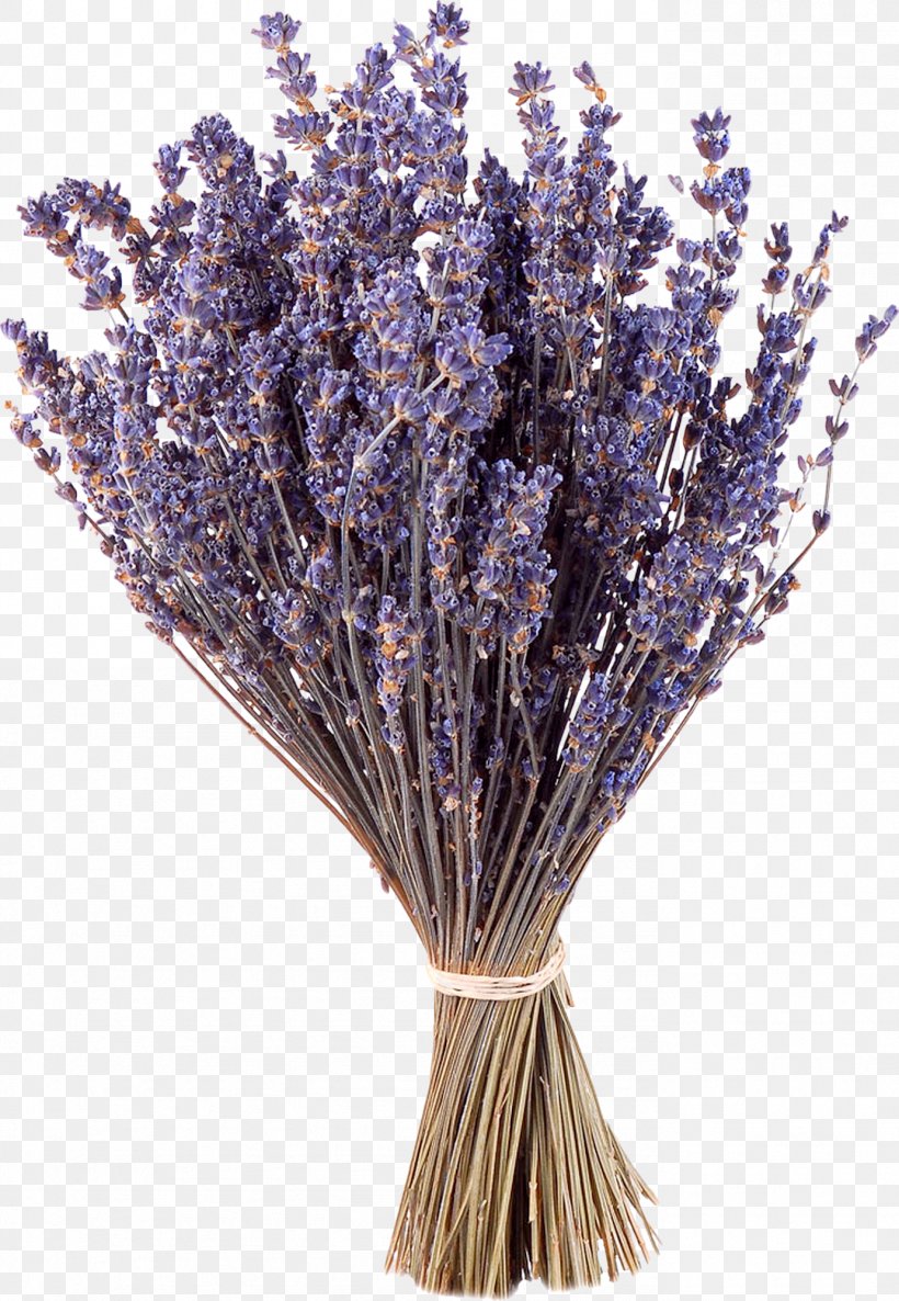 Lavender Purple Flower Google Images, PNG, 1382x2000px, Lavender, Artificial Flower, Branch, Color, English Lavender Download Free