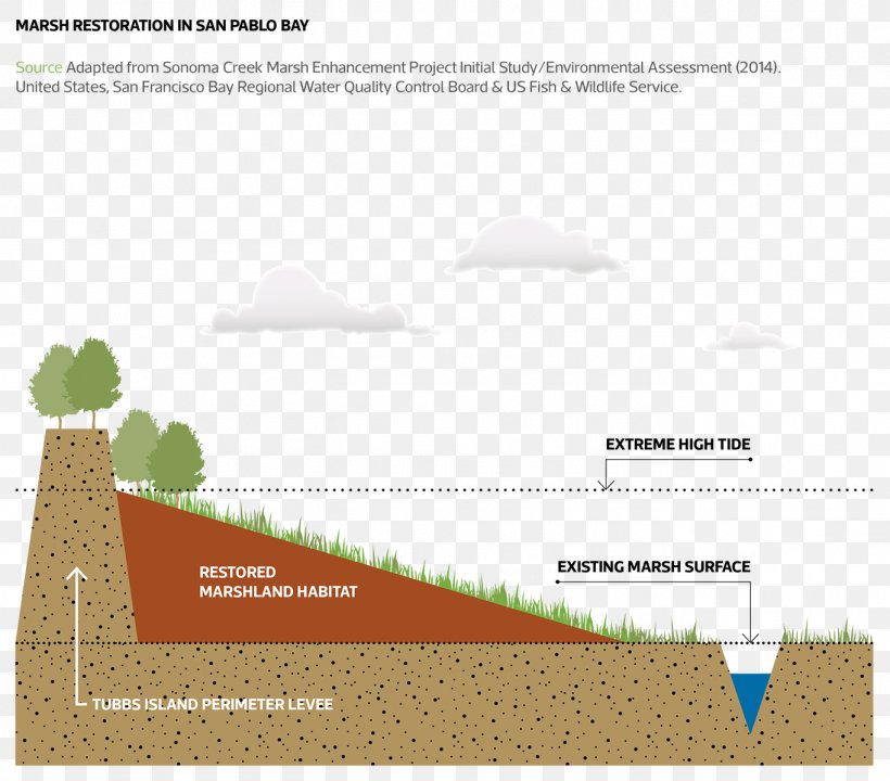 Line Brand Angle Water Resources, PNG, 1364x1198px, Brand, Area, Diagram, Elevation, Water Download Free