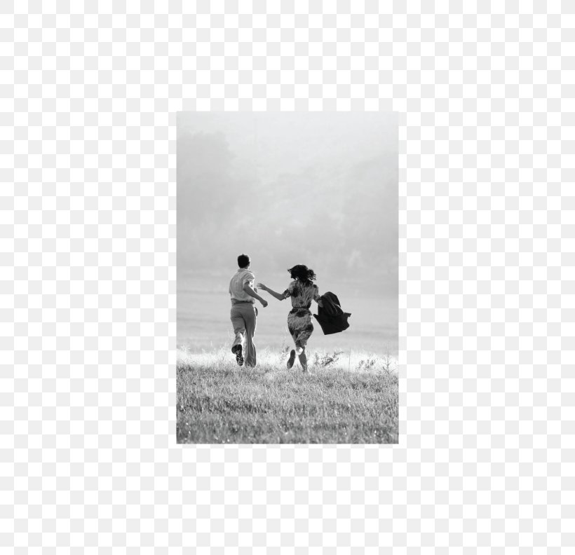 Love Photography Friendship Painting, PNG, 612x792px, Love, Black And White, Family, Friendship, Hatred Download Free