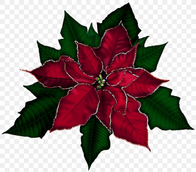 Poinsettia Christmas Clip Art, PNG, 913x799px, Poinsettia, Aquifoliaceae, Christmas, Christmas Decoration, Christmas Ornament Download Free