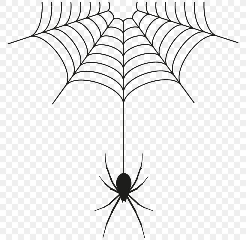 Spider Web, PNG, 800x800px, Spider, Arachnid, Area, Arthropod, Artwork Download Free