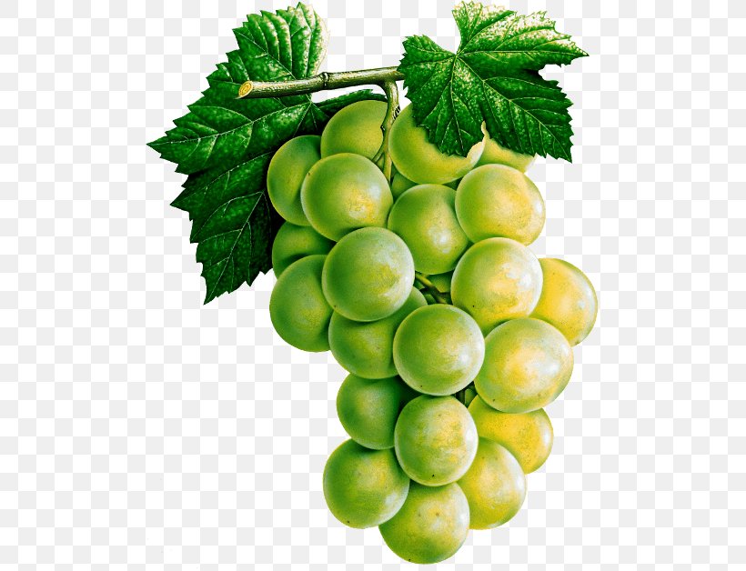 White Wine Common Grape Vine Juice, PNG, 500x628px, White Wine, Common Grape Vine, Diet Food, Food, Fruit Download Free