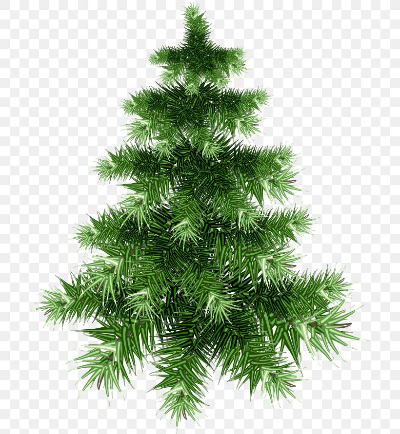 Artificial Christmas Tree, PNG, 698x891px, Christmas Tree, Artificial Christmas Tree, Biome, Branch, Christmas Download Free