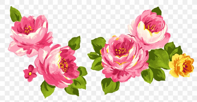 Centifolia Roses Flower Pink Garden Roses, PNG, 1664x868px, Centifolia Roses, Annual Plant, Blossom, Cut Flowers, Floral Design Download Free
