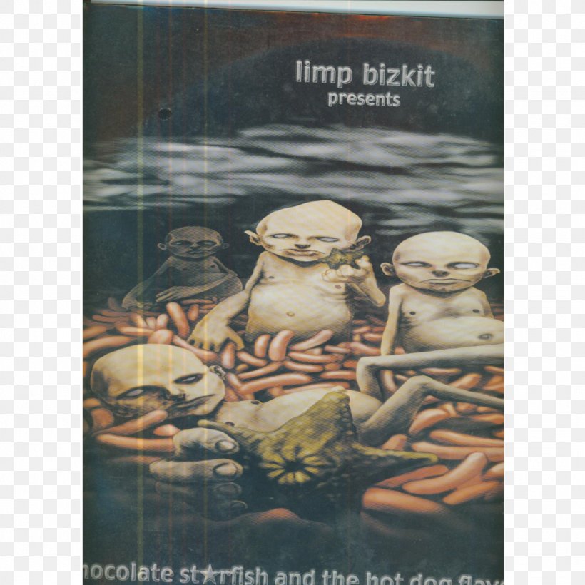 Chocolate Starfish And The Hot Dog Flavored Water Limp Bizkit New Old Songs Results May Vary, PNG, 1024x1024px, Watercolor, Cartoon, Flower, Frame, Heart Download Free