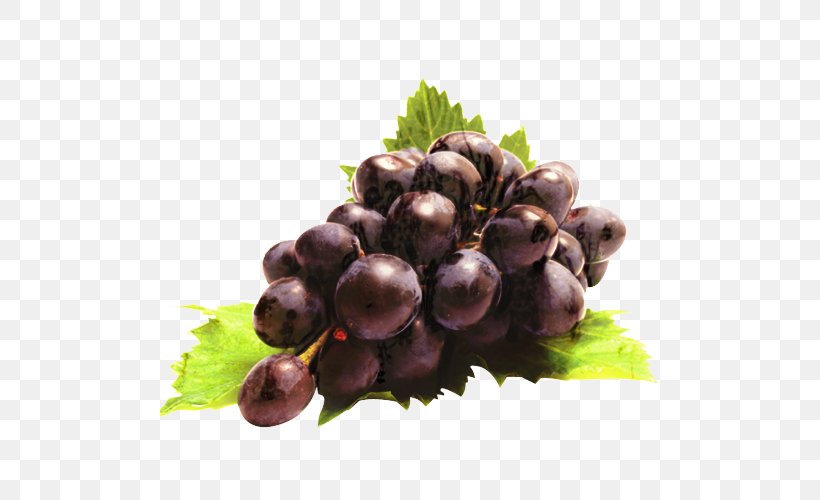 Flower Leaves, PNG, 500x500px, Grape, Berry, Drink, Eating, Extract Download Free