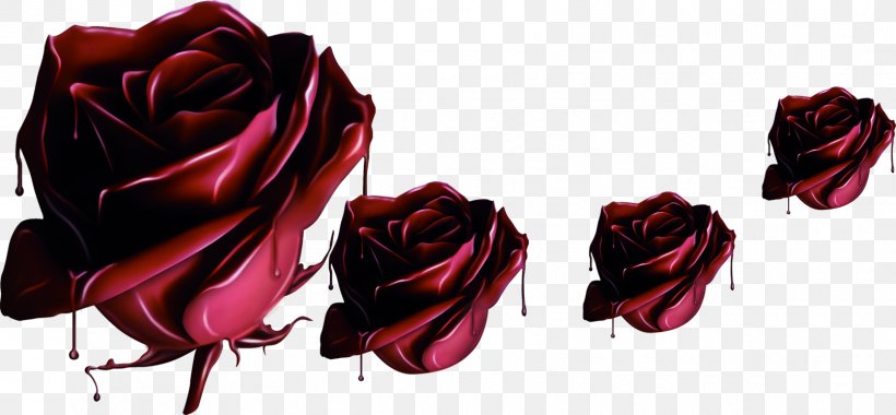 Garden Roses Beach Rose Chocolate Flower, PNG, 1608x746px, Beach Rose, Artificial Flower, Chocolate, Cut Flowers, Floral Design Download Free