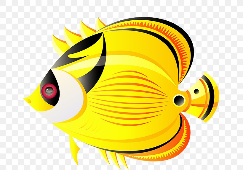 Angelfish Tropical Fish Clip Art Drawing, PNG, 666x576px, Angelfish, Beak, Butterflyfishes, Chaetodon, Drawing Download Free