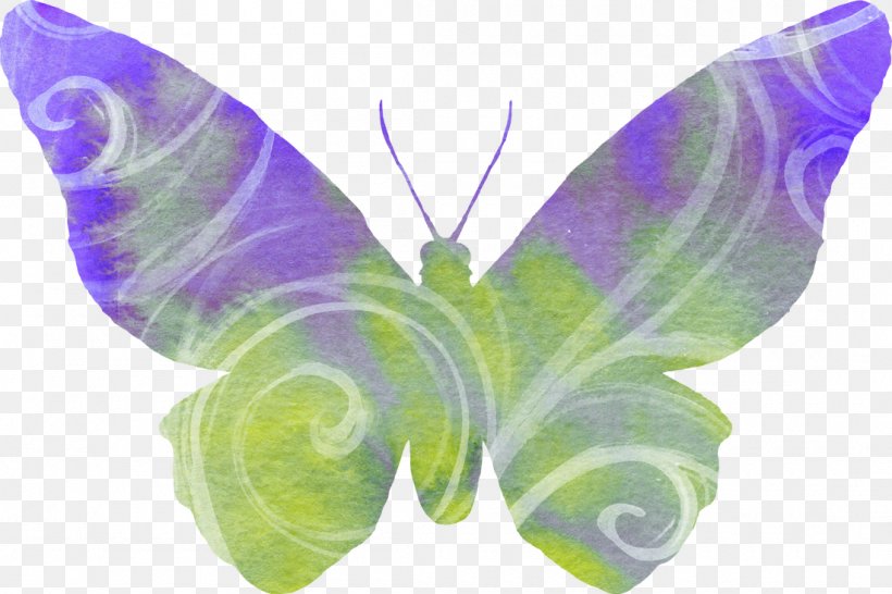 Butterfly Desktop Wallpaper Clip Art, PNG, 1100x733px, Butterfly, Digital Image, Insect, Invertebrate, Leaf Download Free