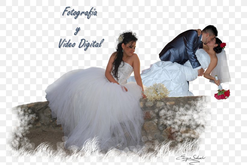 Wedding Dress Bride, PNG, 800x549px, Wedding Dress, Bridal Clothing, Bride, Gown, Wedding Download Free